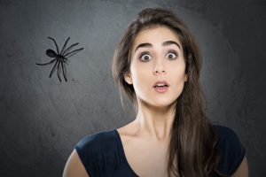 overcome fear of spiders